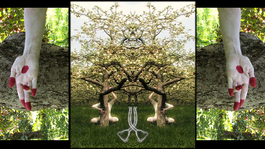 Video/Film & Video-performance